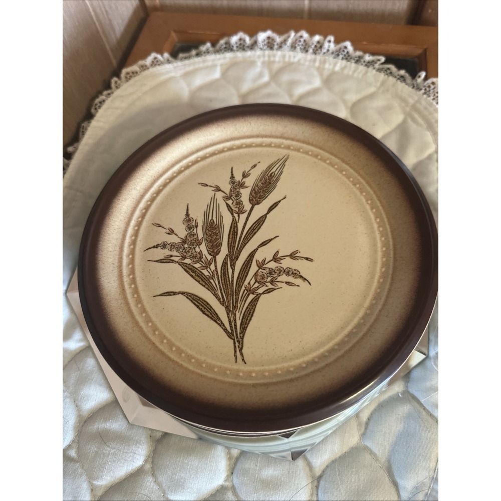 7 Vintage Arita Country Kitchen Honey Wheat Salad/dessert Plates 7.5 Inches